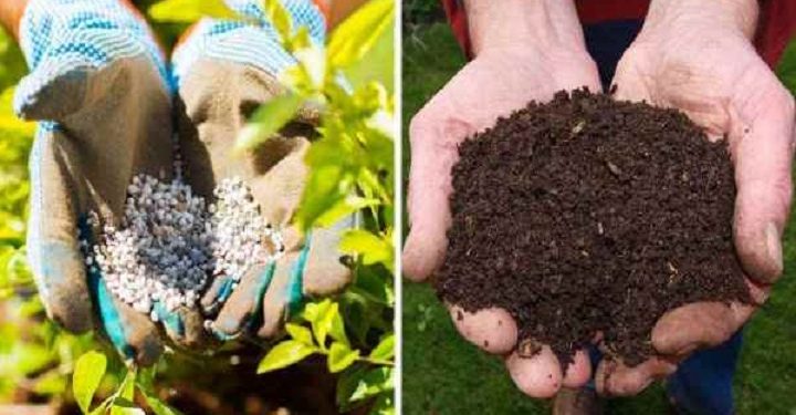 அடுத்த பருவத்தில் இருந்து தேயிலை மற்றும் மரக்கறி பயிர்ச்செய்யும் விவசாயிகளுக்கு இயற்கை உரம் !