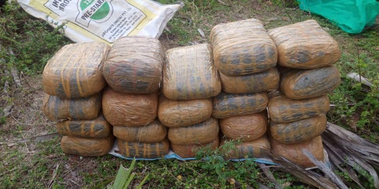 யாழ். சுழிபுரம் பகுதியில் 64 கிலோ கஞ்சா மீட்பு!