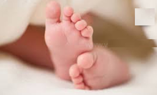 யாழில் தாய்ப்பால் கொடுக்க மறுத்ததால் உயிரிழந்த குழந்தை