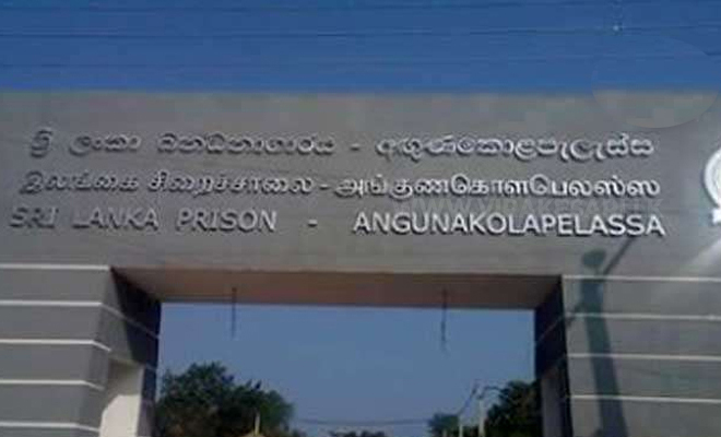 70 சுருட்டுகளை செருப்பில் மறைத்து சிறைச்சாலைக்கு கொண்டு செல்ல முற்பட்டவர் கைது!