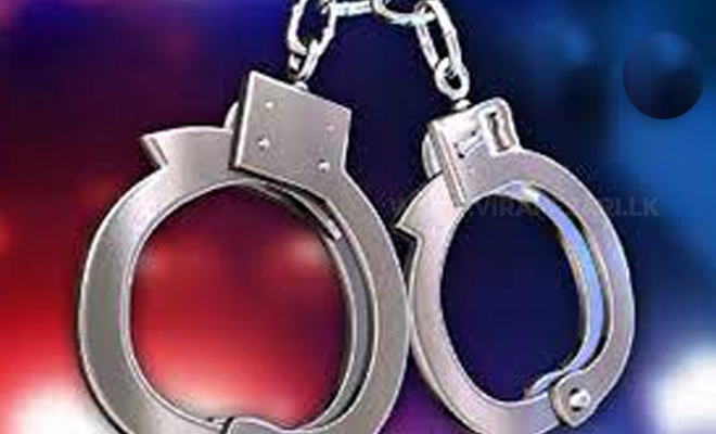 புதையல் தோண்டுவதற்கு முயன்ற மூவர் கைது