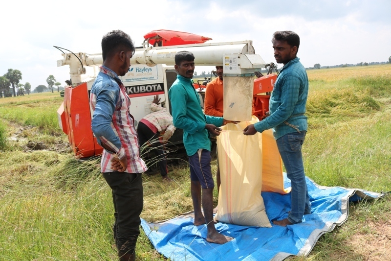 இந்த ஆண்டுக்கான சிறுபோகச் செய்கையின் அறுவடை இரணைமடு குளத்தின்கீழ் ஆரம்பம்