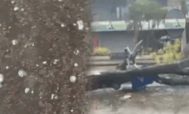 புத்தல நகரில் மழையுடன் விழுந்தன ஐஸ் கட்டிகள்!