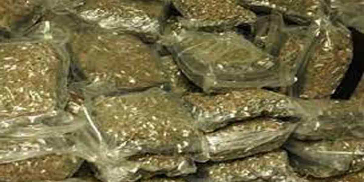 யாழில் 54 கிலோ கஞ்சாவுடன் ஒருவர் கைது – இருவர் தப்பியோட்டம்