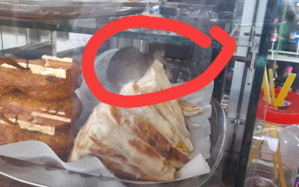 ரயில் நிலைய உணவு கடைகளில் எலி ஓடும் அவலம்