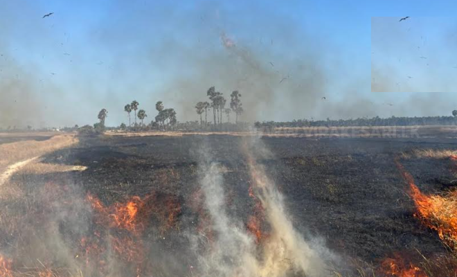 இயற்கை வளங்கள் தீவகத்தில் அழிப்பு! விசமிகளின் செயல் எனக் கூறி அதிகாரிகள் தப்பிப்பு