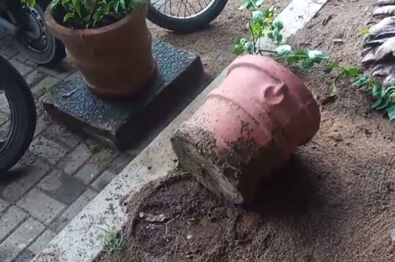 களுத்துறை தெற்கு ரயில் நிலைய சுவரில் சிறுநீர் கழிக்க முயற்சி : தடுத்ததால் தாக்கப்பட்ட நிலைய அதிபரும் ஊழியர்களும்!