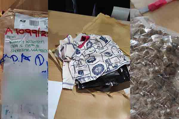 தபாலில் வந்த பார்சலில் கஞ்சா!