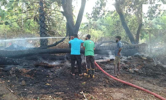 கிளிநொச்சி தருமபுரம் பாடசாலை வளாகத்தில் தீ : பெறுமதி மிக்க பல மரங்கள் எரிந்து நாசம்