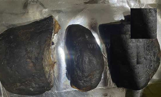 திமிங்கல வாந்தியின் 3 துண்டுகள் வைத்திருந்த முன்னாள் சிப்பாய் உட்பட மூவர் கைதாகினர்!