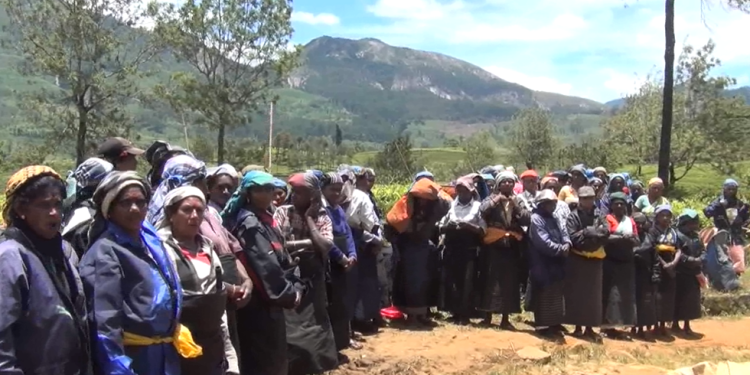 தோட்ட நிர்வாகத்திற்கு எதிர்ப்பு தெரிவித்து போராட்டம்