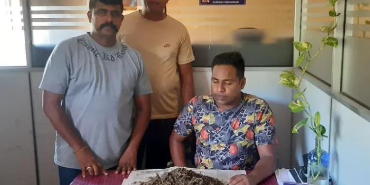 யாழில் கஞ்சாவுடன் சிக்கிய இளைஞர் கைது!