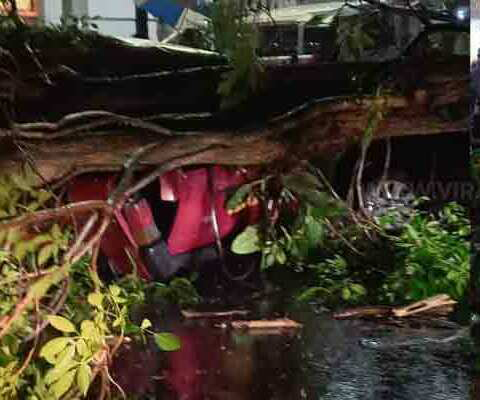 காரொன்றின்மீது மரம் முறிந்து கொள்ளுப்பிட்டியில் வீழ்ந்தது!