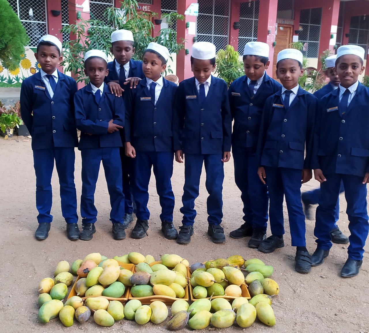 மாம்பழ உற்பத்தியில் பெண் அதிபர் சாதனை!