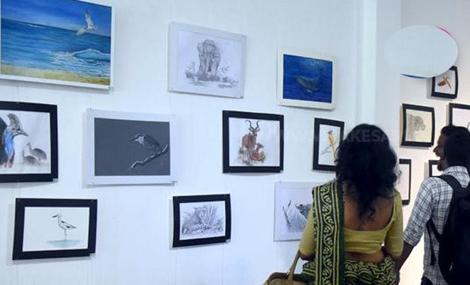 வருடாந்த வனவிலங்கு புகைப்படக் கண்காட்சி!