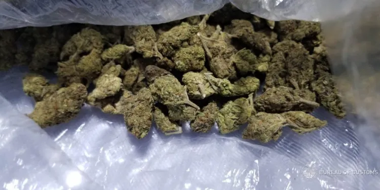 60 மில்லியன் ரூபா பெறுமதியான குஷ் போதைப்பொருள் சிக்கியது