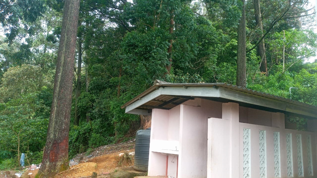 அப்புத்தளை தமிழ் மத்திய கல்லூரிக்கு அருகாமையில் ஆபத்தான வகையில் மரங்கள் ; அச்சத்தில் மாணவர்கள்