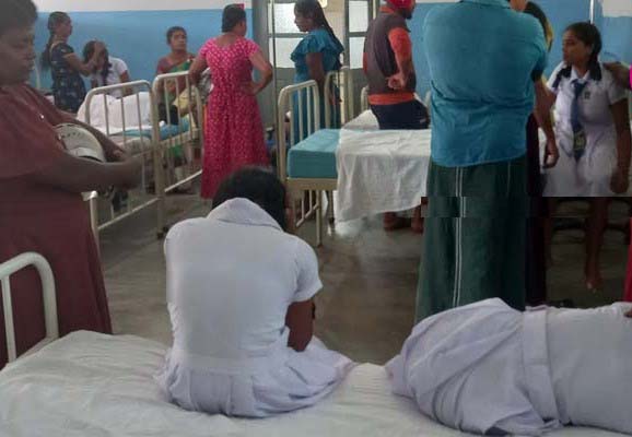 மட்டு.வவுணதீவில் குளவி கொட்டுக்கு இலக்காகி 8 மாணவர்கள் வைத்தியசாலையில் அனுமதி