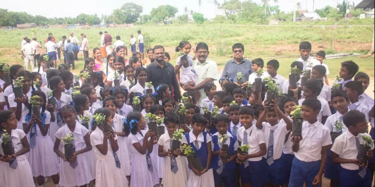 மாணவர்களுக்கு கறுவா மரக்கன்றுகள் விநியோகம்!