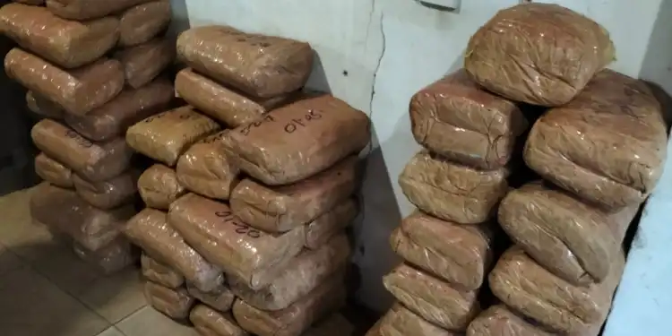 யாழில் சுமார் 3கோடி ரூபாய் பெறுமதியான கேரளா கஞ்சா சிக்கியது!