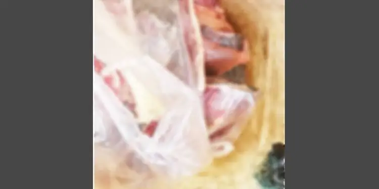 6 கிலோ ஆமை இறைச்சியுடன் பாஷையூரில் ஒருவர் கைது!