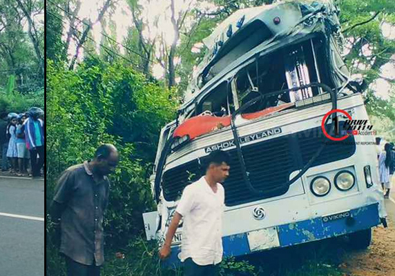 காட்டு யானையையும் மரத்தையும் மோதி விபத்துக்குள்ளானது பஸ்! நால்வர் காயம்