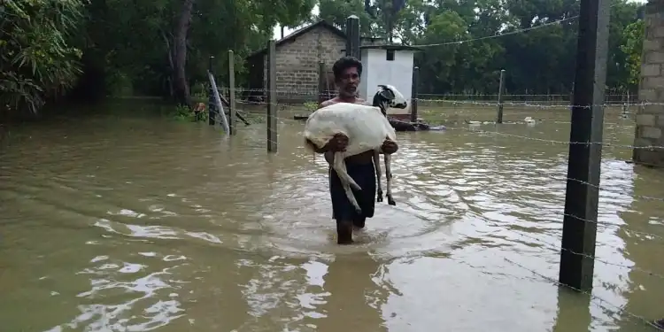 சீரற்ற வானிலையால் கிளிநொச்சியில் 394 குடும்பங்கள் கடுமையாக பாதிப்பு!
