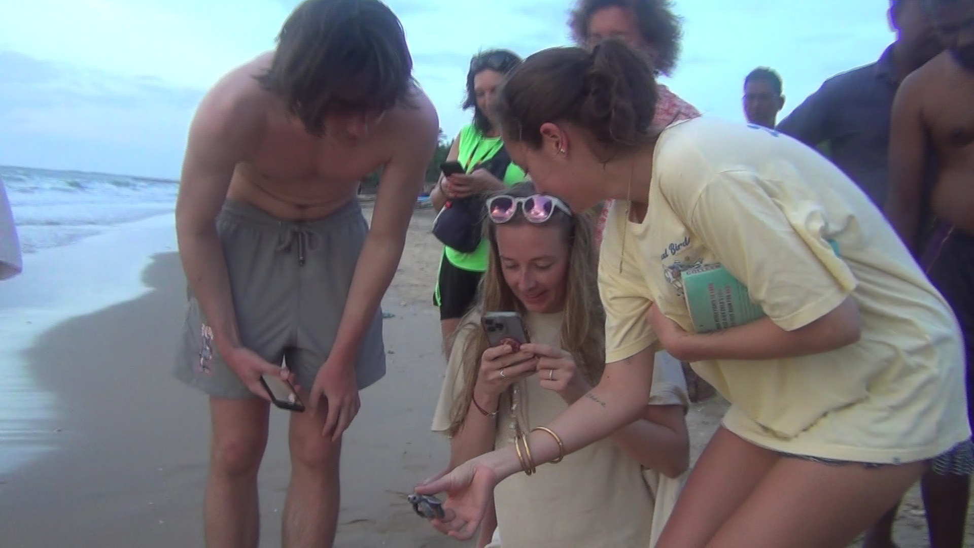 வெளிநாட்டுச் சுற்றுலாப் பயணிகளால் கடலில் விடப்பட்டன ஆமைக் குஞ்சுகள்