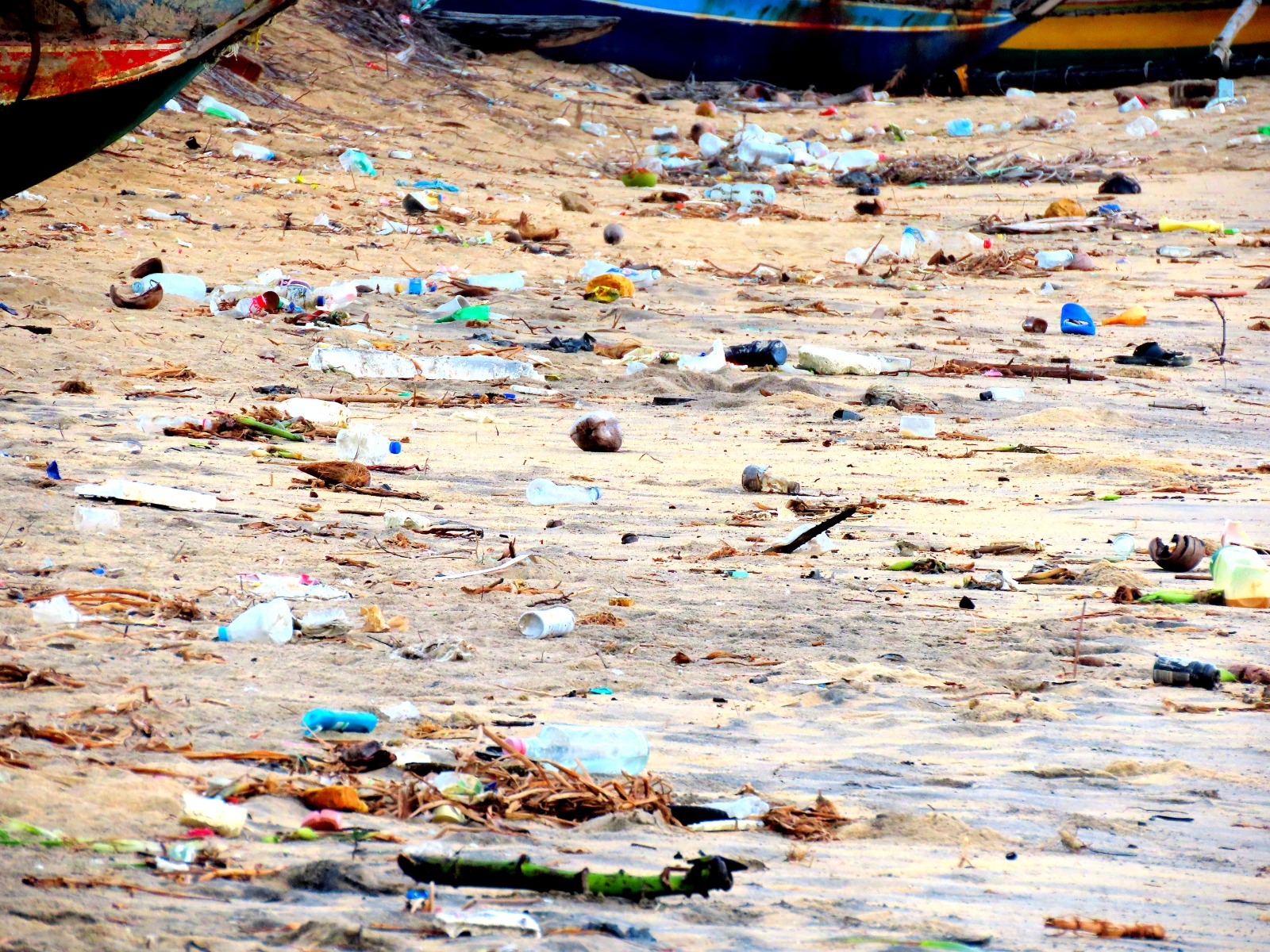 அம்பாறை மாவட்ட கடற்கரையோரங்களில் பிளாஸ்டிக் கழிவுகளை அகற்றக் கோரிக்கை