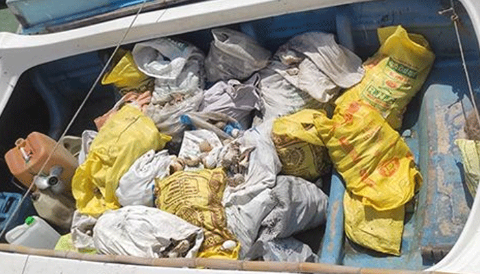 புத்தளம், கற்பிட்டி கடலில் சட்ட விரோதமாக சங்குகள் பிடித்த மூவர் கைது