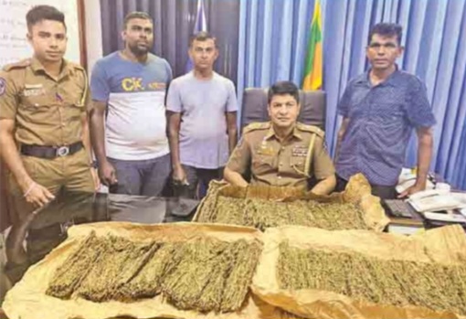 தணமல்வில பிரதேசத்தில் கஞ்சா செடி,கசிப்பு காய வைத்த கஞ்சா கைப்பற்றப்பட்டுள்ளன!