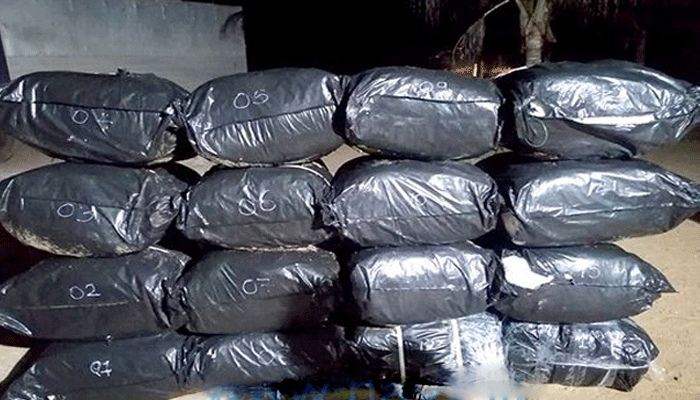 மாம்புரி கடலில் மிதந்த நிலையில் 16 பீடி இலை மூடைகள் மீட்பு!