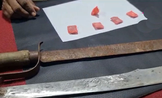 வாள் மற்றும் போதைப்பொருள்களுடன் புதுக்குடியிருப்பில் இளைஞன் கைது!