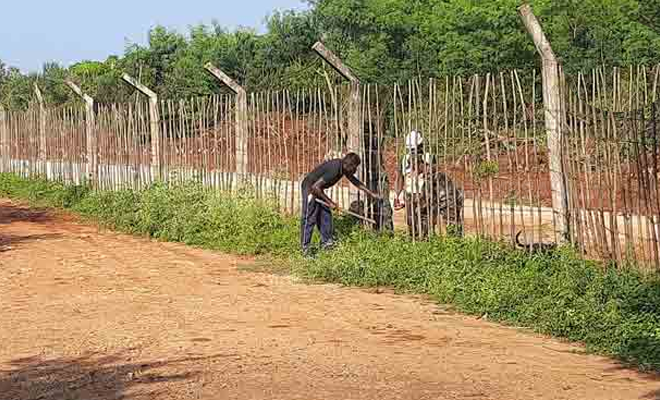 யாழில் 23 ஏக்கர் காணியை விடுவிக்க இராணுவம் முடிவு!