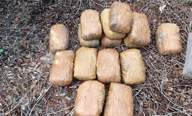 கட்டைக்காட்டில் 55 கிலோ கேரள கஞ்சா கைப்பற்றல்!