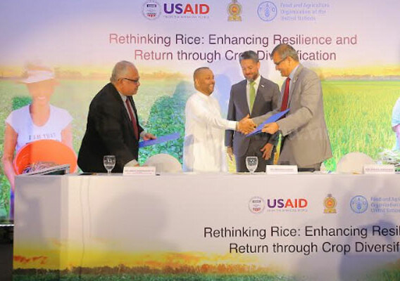 விவசாயத் துறை மறுமலர்ச்சியை நாட்டில் ஏற்படுத்த நடவடிக்கை!