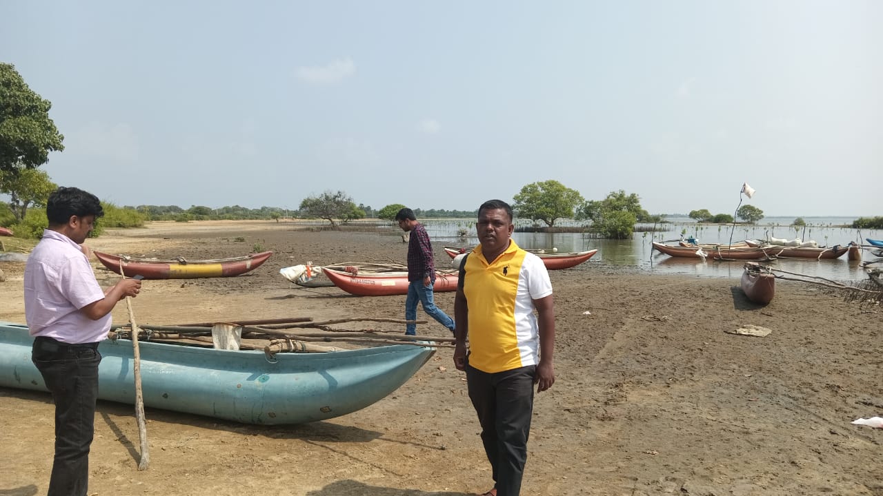 கண்டல் தாவரங்களை நடுவது தொடர்பான ஆய்வு செய்தல் திருகோணமலை மாவட்டத்தில்!