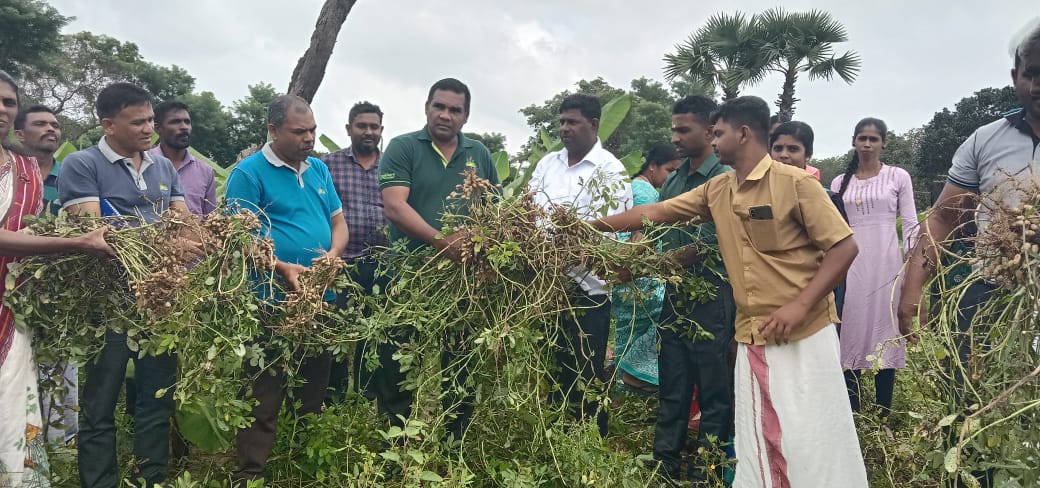 தும்பங்கேணியில் நிலக்கடலை   விழிப்புணர்வு நிகழ்வு நடந்தது ( வி.ரி.சகாதேவராஜா)