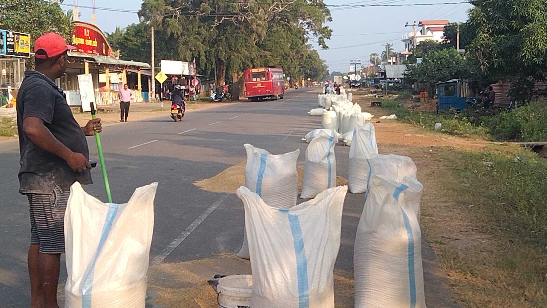 வீதிகளில் நெல் உலர விடுவதன் காரணமாக வாகன சாரதிகள் பாதிப்பு