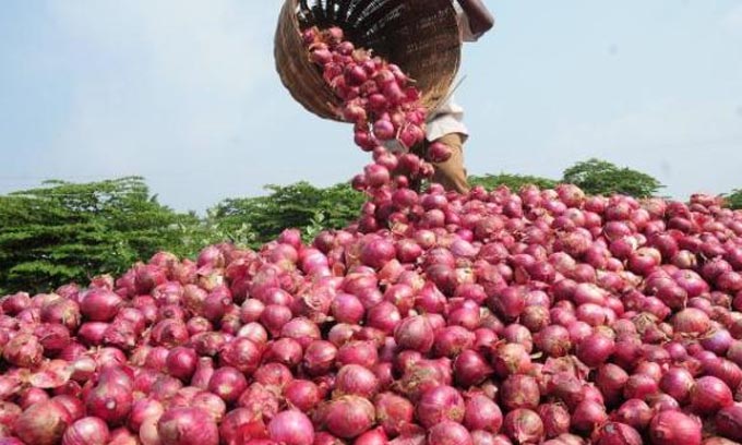 பாகிஸ்தானிலிருந்து இறக்குமதியாகும் வெங்காயம்