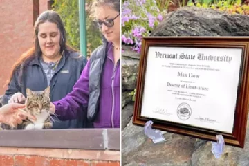 பல்கலைக்கழகத்தில் பட்டம் வென்ற பூனை