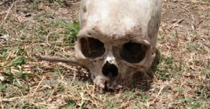 மட்டக்களப்பில் மண்டை ஓடு கண்டுபிடிப்பு