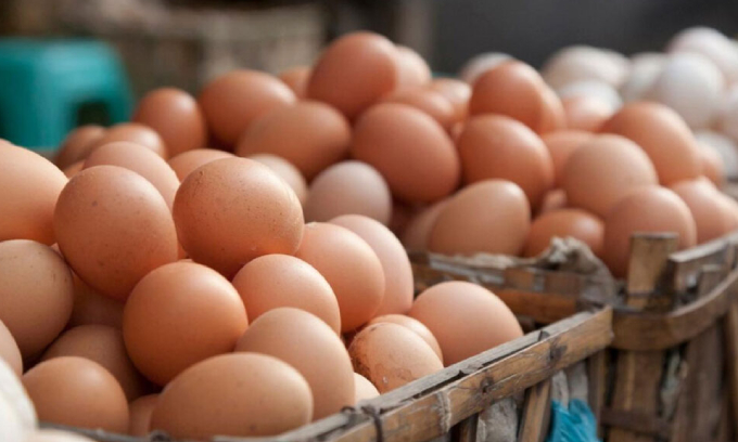 முட்டை இறக்குமதிக்கு அனுமதி