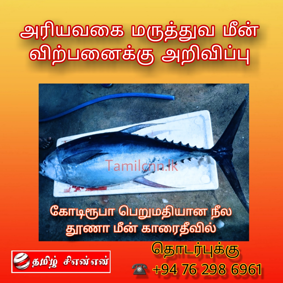 கோடி ரூபா பெறுமதியான அரியவகை மருத்துவ மீன் விற்பனைக்கு